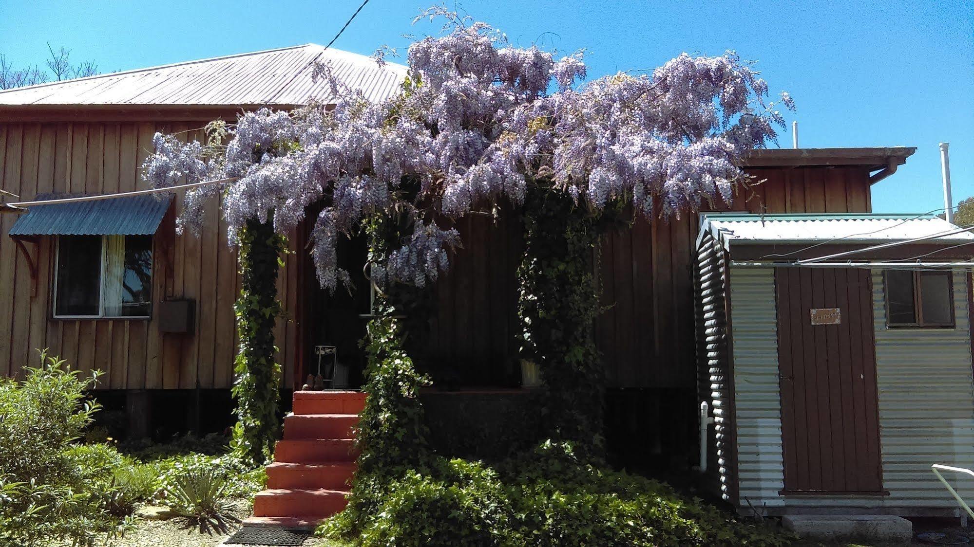 Wisteria Cottage Wyberba Eksteriør billede